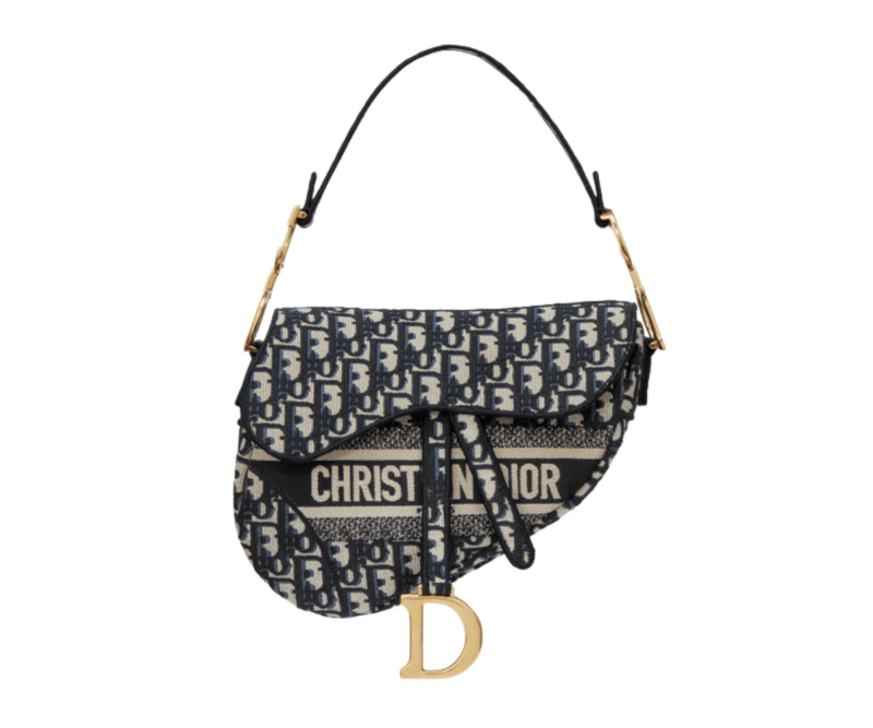 Dior Saddle Bag Blue Embroidery