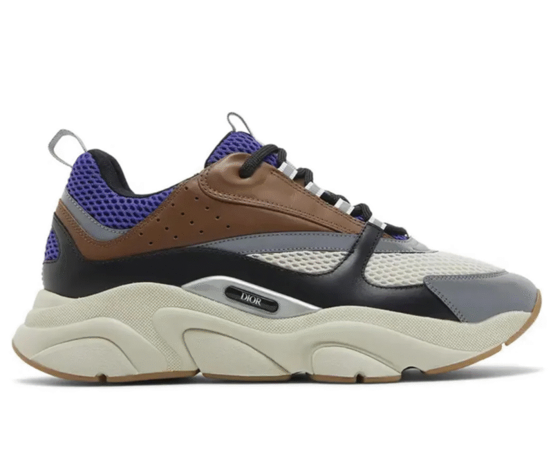 Dior Sneaker B22 Coffee Violet