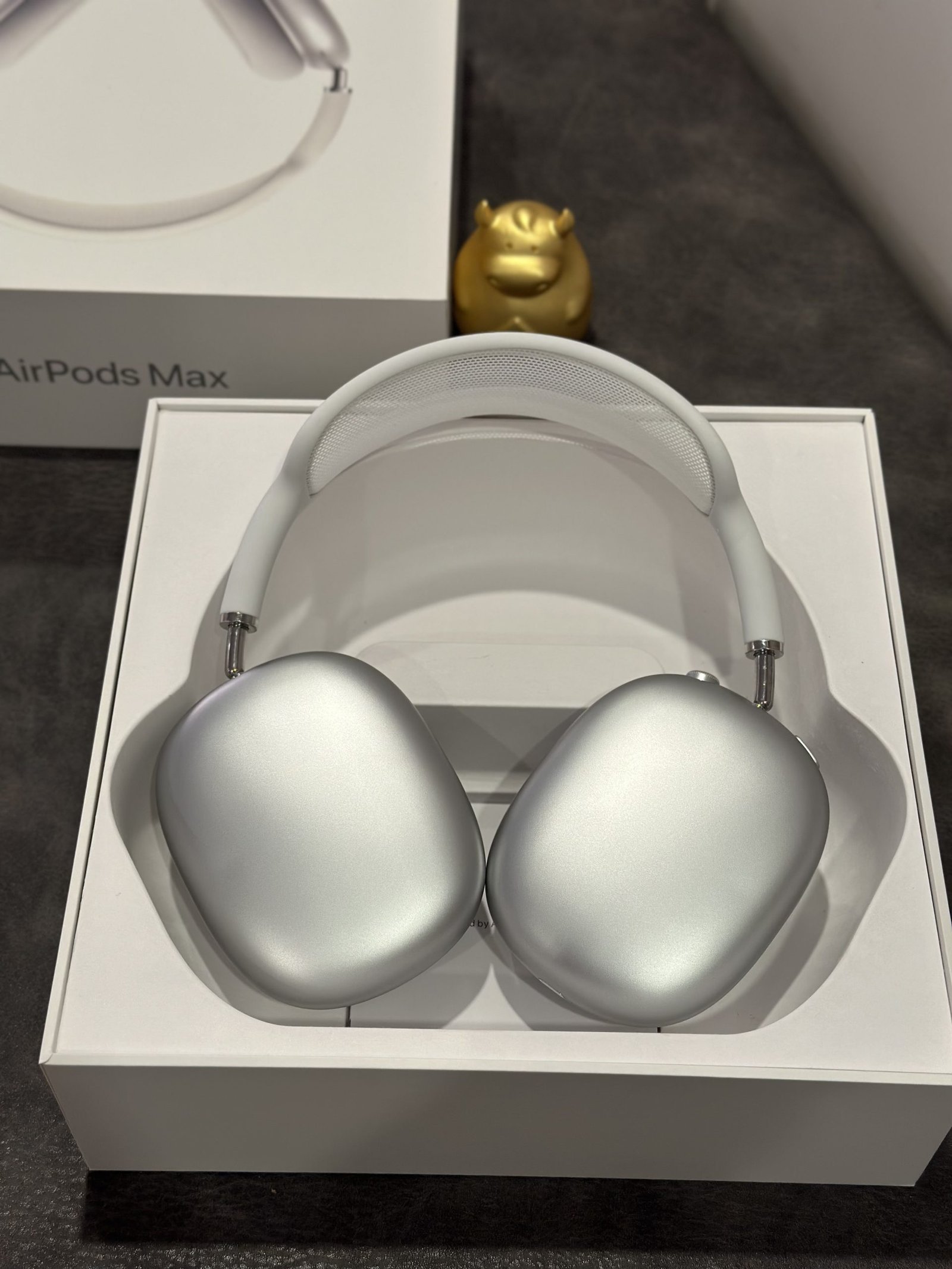 AirPods Max Silver White - Image 12