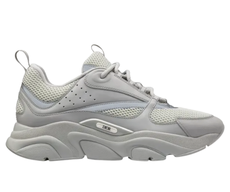 Dior Sneaker B22 All Grey