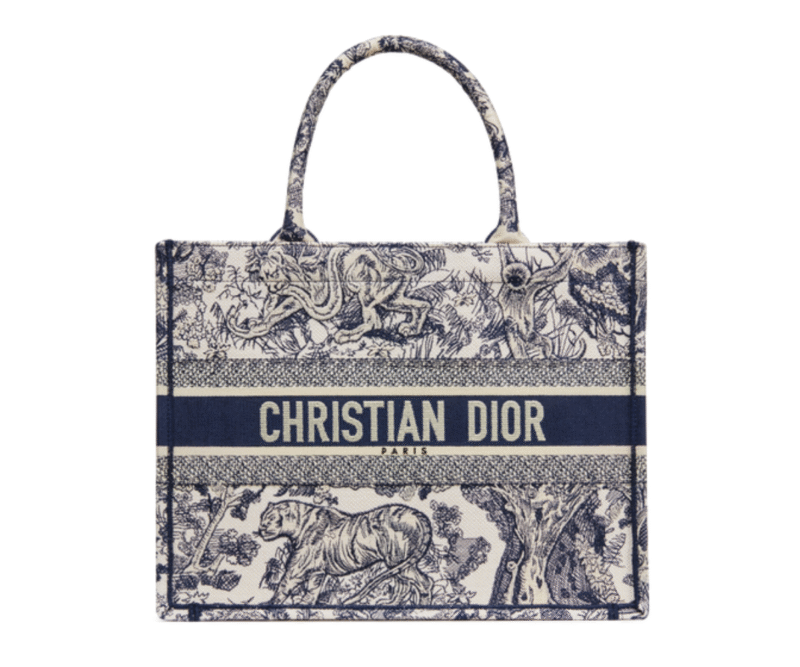 Dior Medium Book Tote Bag Blue